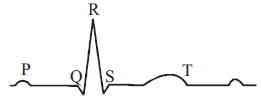 Body Fluids and Circulation mcq question image